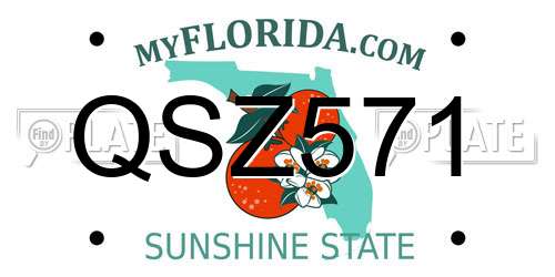 QSZ571 Florida License Plate