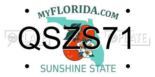 QSZS71 Florida License Plate
