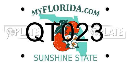 QT023 Florida License Plate