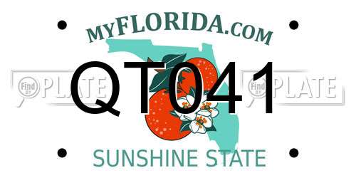 QT041 Florida License Plate