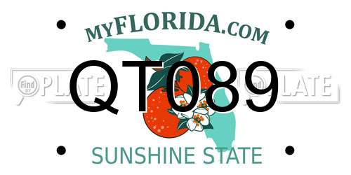 QT089 Florida License Plate