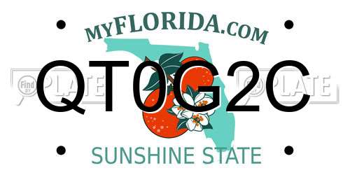 QT0G2C Florida License Plate