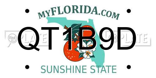 QT1B9D Florida License Plate