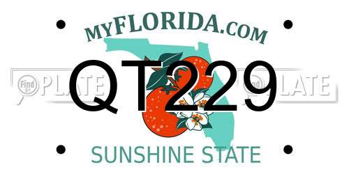 QT229 Florida License Plate