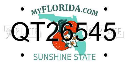 QT26545 Florida License Plate