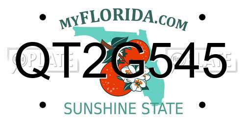 QT2G545 Florida License Plate