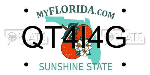 QT4I4G Florida License Plate