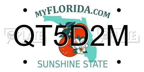 QT5D2M Florida License Plate