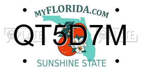 QT5D7M Florida License Plate