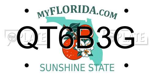 QT6B3G Florida License Plate