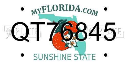 QT76845 Florida License Plate