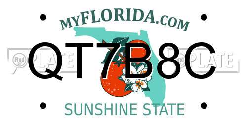QT7B8C Florida License Plate