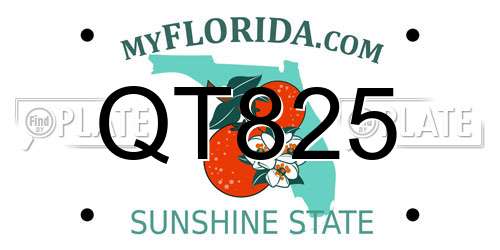 QT825 Florida License Plate