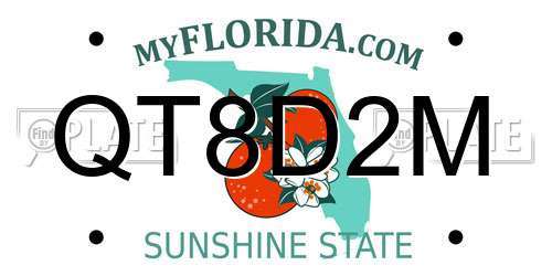 QT8D2M Florida License Plate