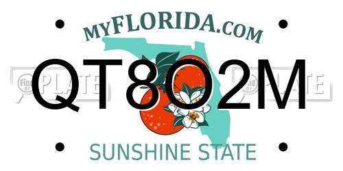 QT8O2M Florida License Plate