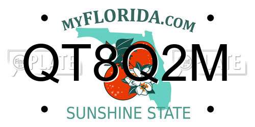 QT8Q2M Florida License Plate