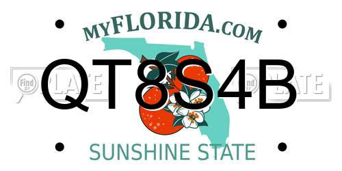 QT8S4B Florida License Plate