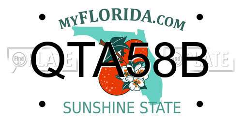 QTA58B Florida License Plate