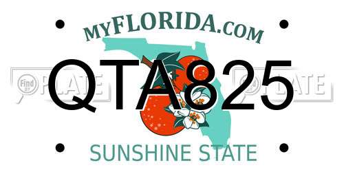 QTA825 Florida License Plate
