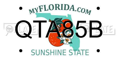 QTA85B Florida License Plate