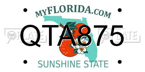 QTA875 Florida License Plate