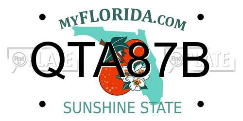 QTA87B Florida License Plate