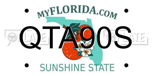 QTA90S Florida License Plate