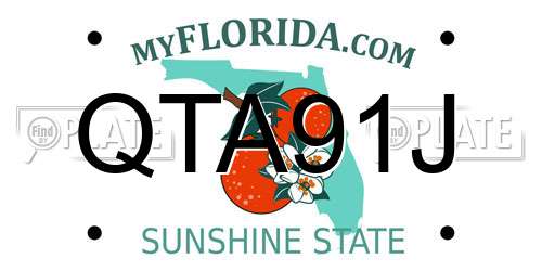 QTA91J Florida License Plate