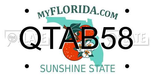 QTAB58 Florida License Plate