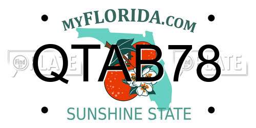 QTAB78 Florida License Plate