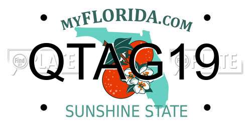 QTAG19 Florida License Plate