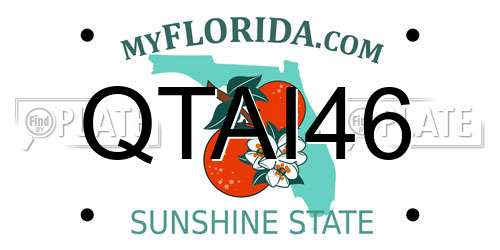 QTAI46 Florida License Plate