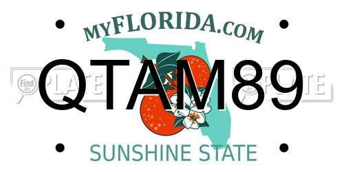 QTAM89 Florida License Plate