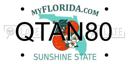 QTAN80 Florida License Plate