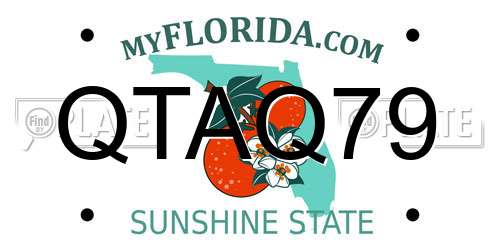 QTAQ79 Florida License Plate