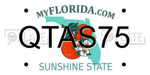 QTAS75 Florida License Plate