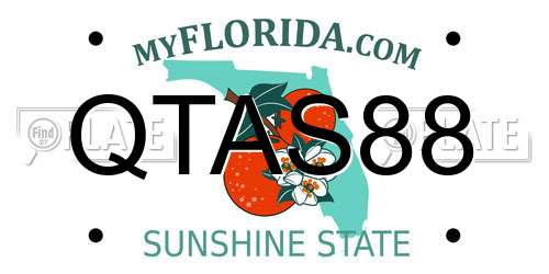 QTAS88 Florida License Plate