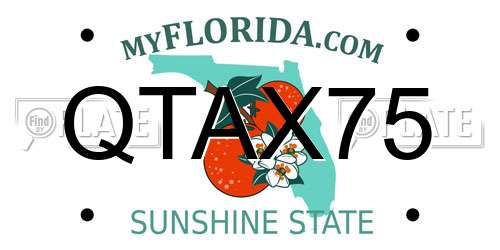 QTAX75 Florida License Plate