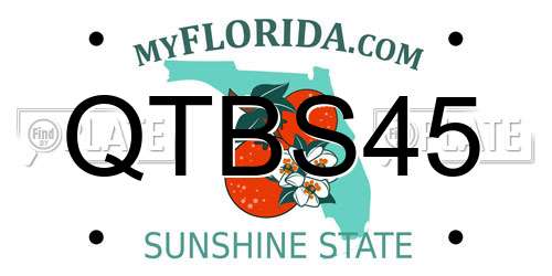 QTBS45 Florida License Plate