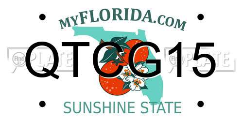 QTCG15 Florida License Plate