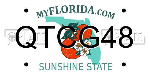 QTCG48 Florida License Plate