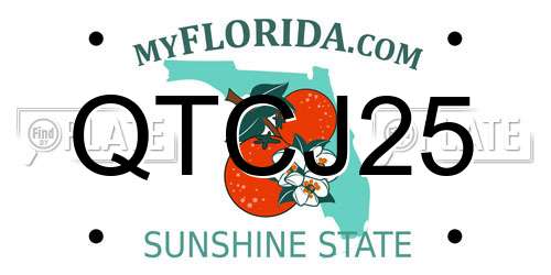 QTCJ25 Florida License Plate