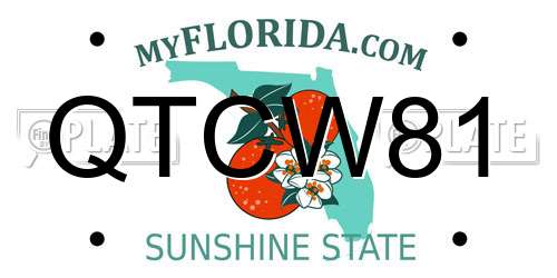 QTCW81 Florida License Plate