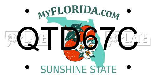 QTD67C Florida License Plate