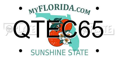 QTEC65 Florida License Plate