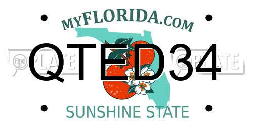 QTED34 Florida License Plate