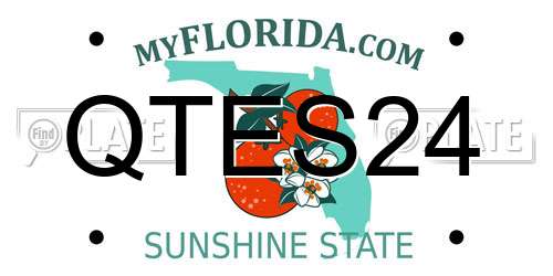 QTES24 Florida License Plate