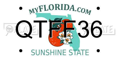 QTFF36 Florida License Plate