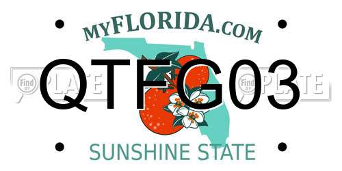 QTFG03 Florida License Plate