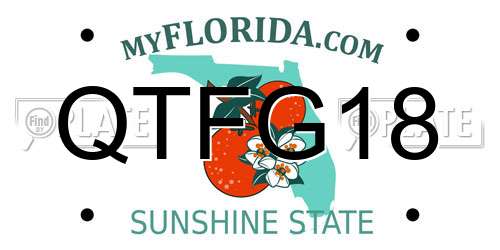 QTFG18 Florida License Plate